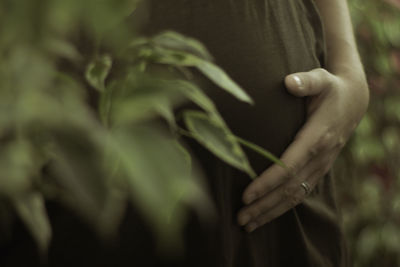 Midsection of pregnant woman touching her belly while standing by plants