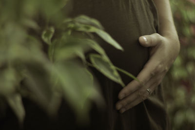 Close-up of woman holding plant