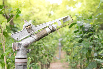 Close-up of machine part on tree