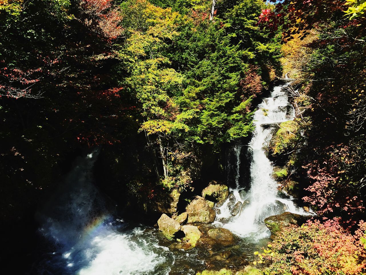 竜頭の滝