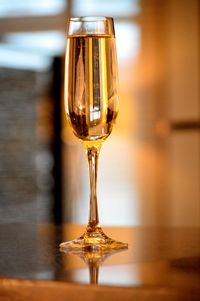 Close-up of wineglass on table