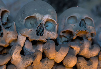 Close-up of human skull