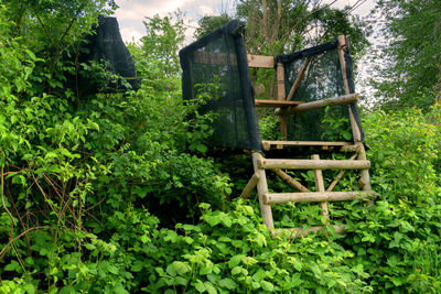 Chair in forest