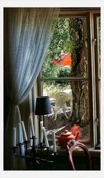 Close-up of food on table