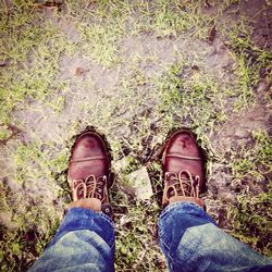 Low section of person standing on grass
