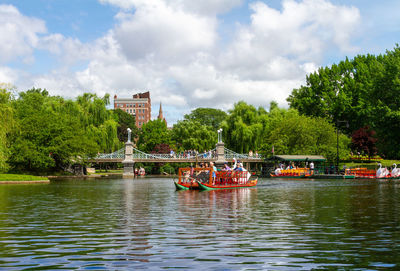 Swan boats in public garden, boston massachusetts on a beautiful, summer day 