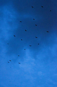 Low angle view of silhouette bird flying against blue sky