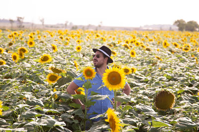 View of yellow flowering plants on land