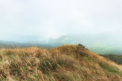 Misty morning landscape of sunset peak hong kong