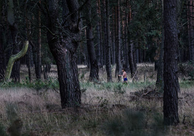 Men on tree trunks in forest