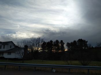 Trees and buildings against sky