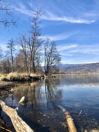 Bare trees by lake against sky