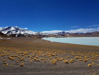 Scenic view of snowcapped mountains against blue sky