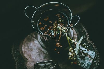 High angle view of potted plant on table