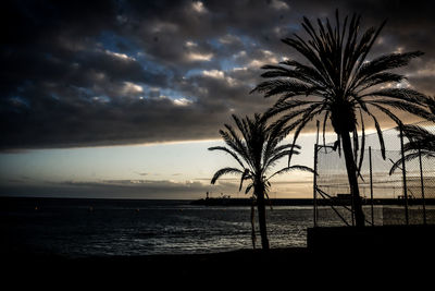 Silhouette palm tree by sea against sky at sunset