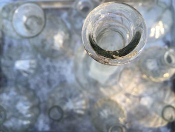 Close-up of plant against blurred background