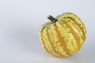 Close-up of pumpkin against white background