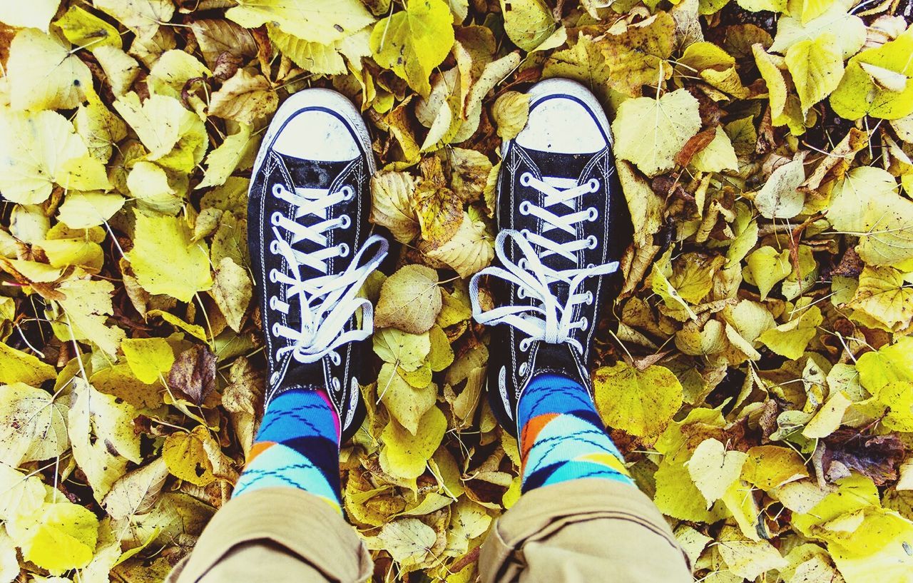 low section, person, shoe, personal perspective, leaf, standing, lifestyles, men, high angle view, footwear, leisure activity, unrecognizable person, green color, human foot, leaves, autumn, directly above