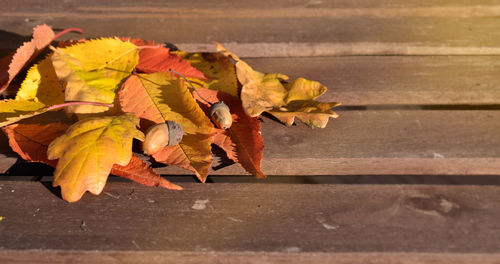 Close-up of maple leaves on footpath