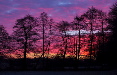 Bare trees on landscape at sunset