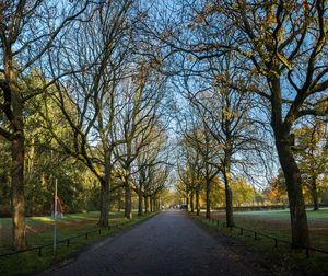 Road amidst bare trees in autumn