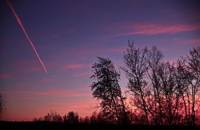 Low angle view of silhouette trees against sky during sunset