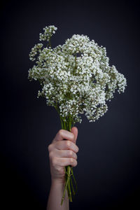 Cropped hand of woman holding bouquet against black background