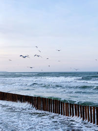 Birds flying over sea against sky