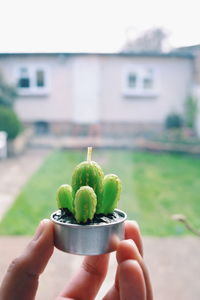 Cropped hand holding cactus shape candle in yard