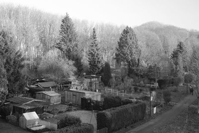 High angle view of trees and houses on field