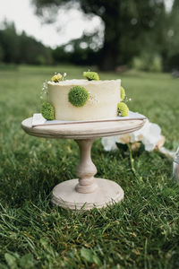 Close-up of cake on field