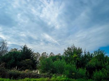 Scenic view of grassy field against cloudy sky