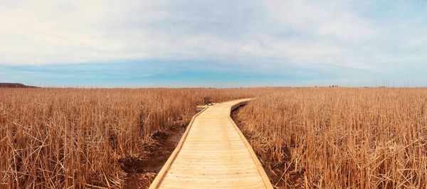 Dirt road on field against sky