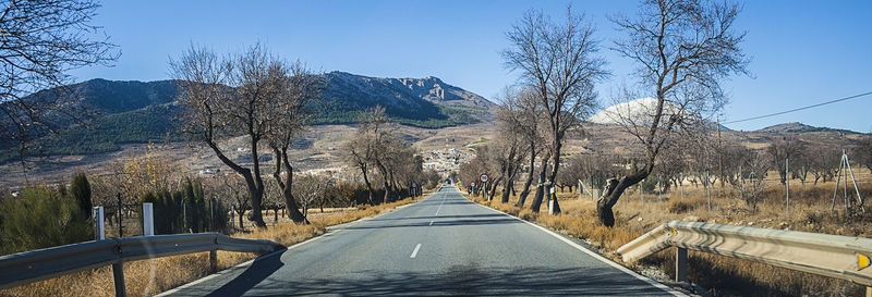 Road amidst bare trees against clear sky