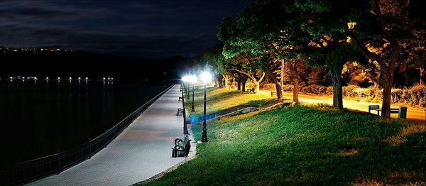 Empty road along trees in park at night