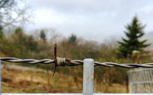 Close-up of barbed wire against sky