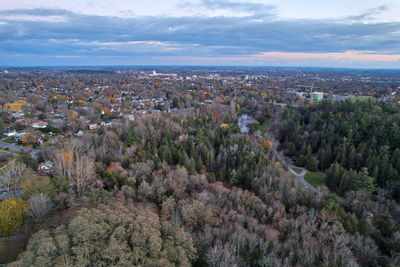Drone photo sunset over park