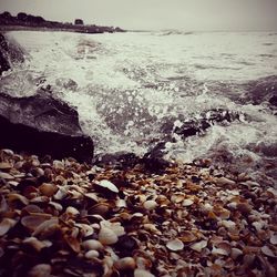 Scenic view of sea shore