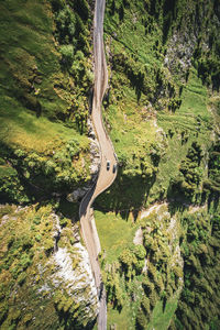 High angle view of winding mountain road amidst trees in forest 