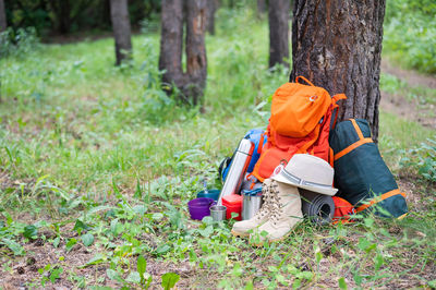 Rear view of boy playing in park