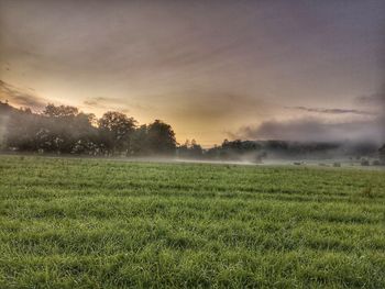 Scenic view of field against sky during sunset