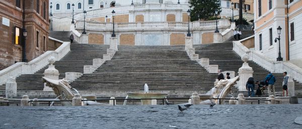 Seagull flying over canal