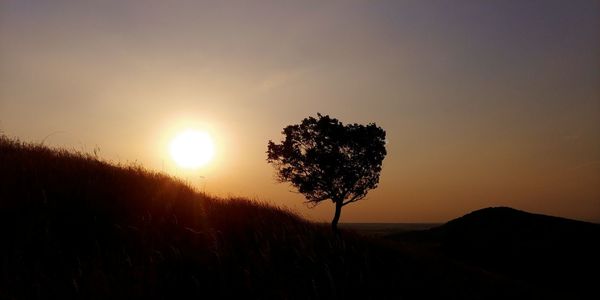 Silhouette trees on field against sky during sunset