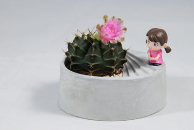 Close-up of potted plant