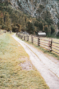 Empty road amidst trees on field