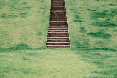 Empty steps amidst field