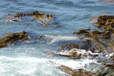 High angle view of rocks in sea