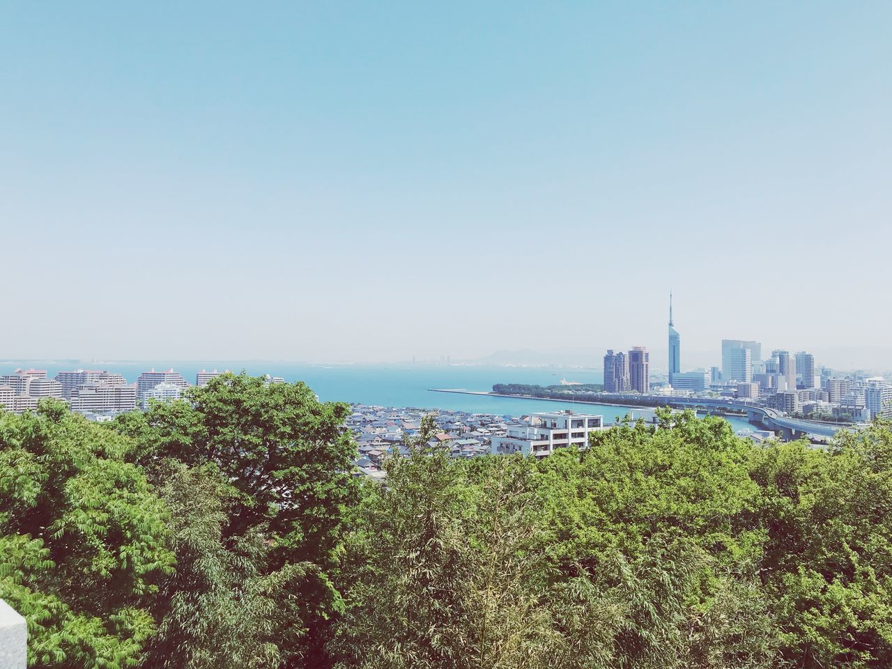 architecture, building exterior, built structure, sky, city, tree, plant, building, copy space, nature, cityscape, clear sky, water, growth, no people, day, landscape, skyscraper, office building exterior, outdoors