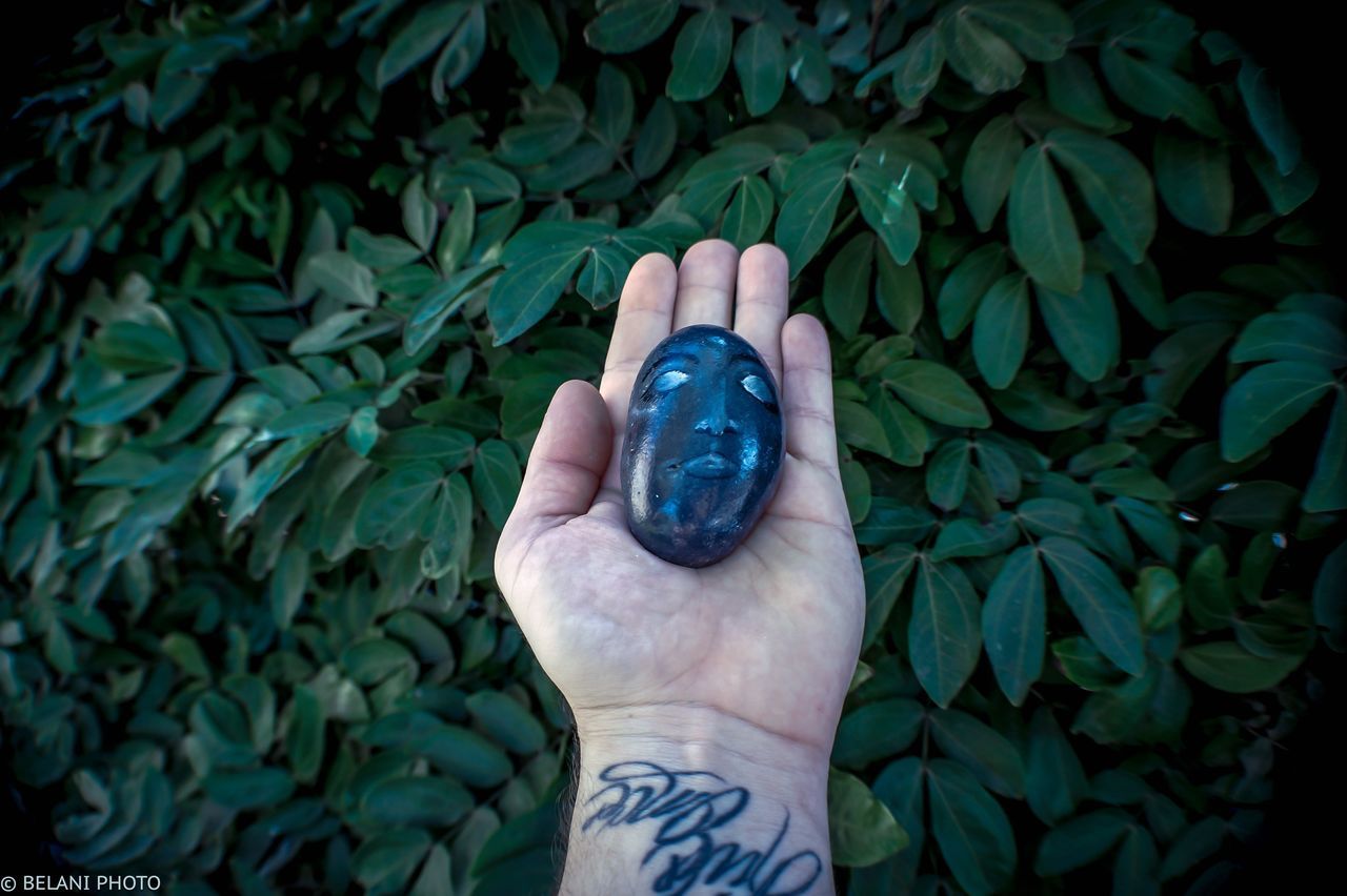 HIGH ANGLE VIEW OF HUMAN HAND HOLDING BLUE LEAF