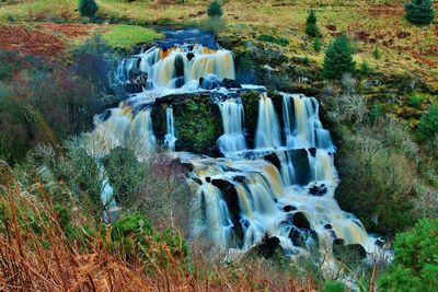 View of waterfall in forest
